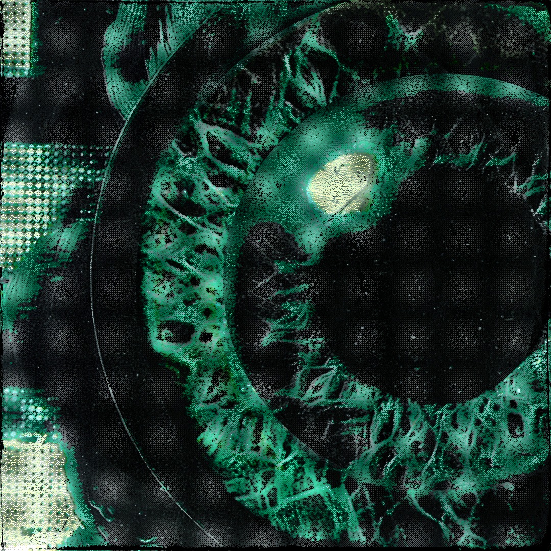 Lookin' EP by LUSHREDS